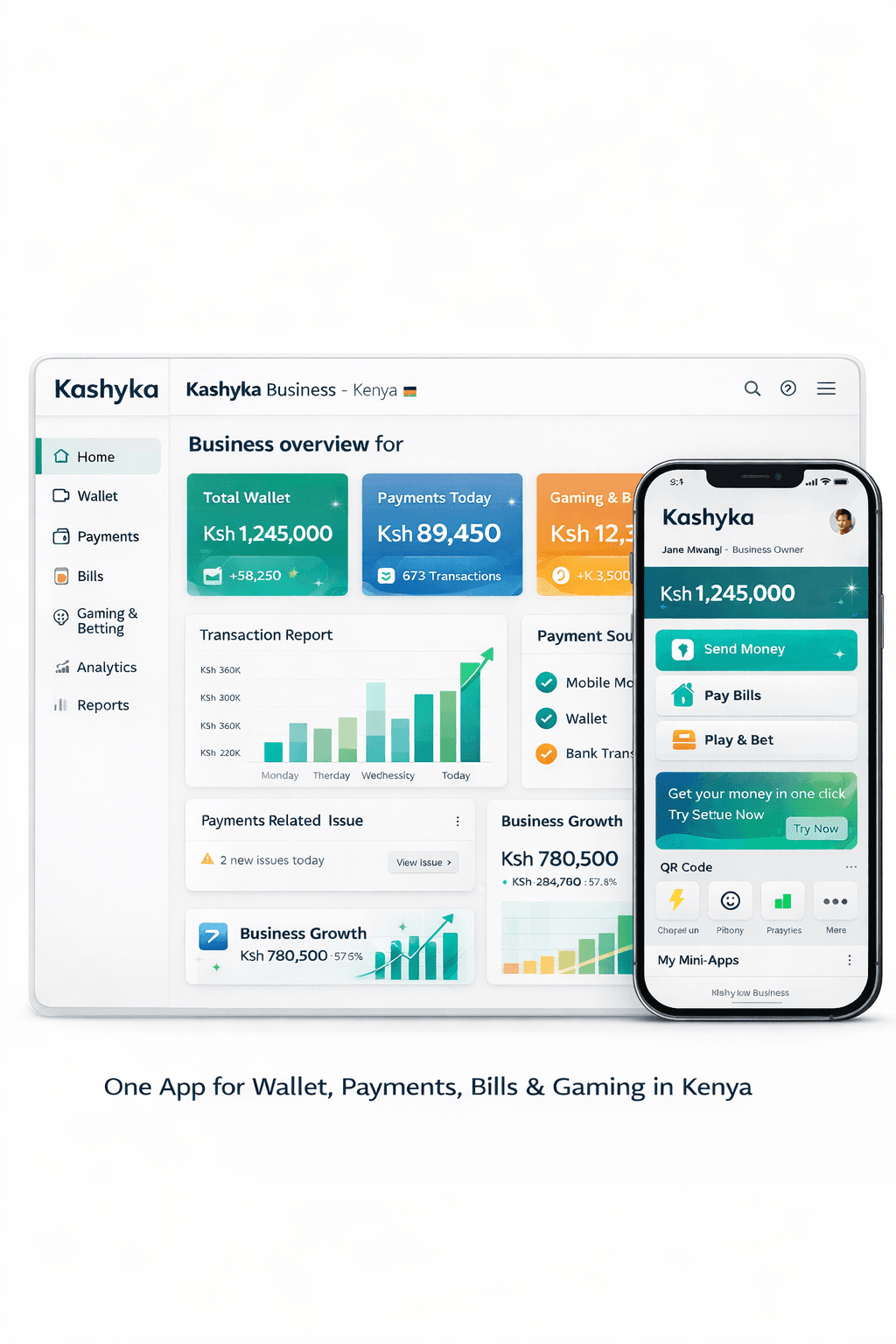 Kashyka fintech operating vision