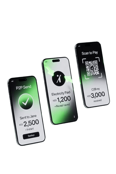 Kashyka payments integration preview